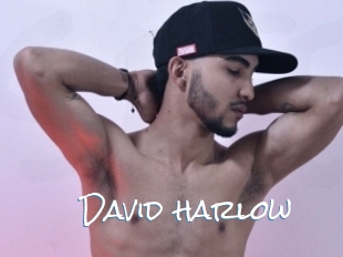 david_harlow Sex Feed