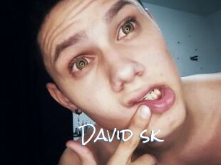 David_sk