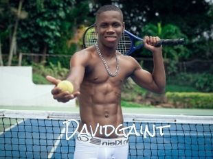 Davidgaint