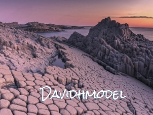 Davidhmodel