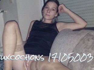 Deuxcochons
