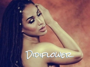 Didiflower
