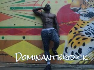 Dominantbigdick