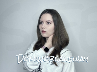 Dominoblakeway