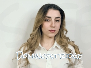 Dominoestridge