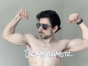 Domsawyer