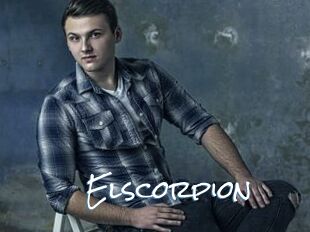 Elscorpion