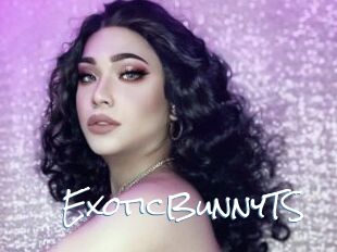 ExoticBunnyTS