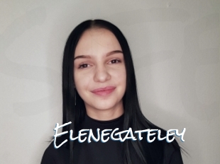 Elenegateley