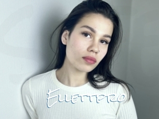 Ellettpro