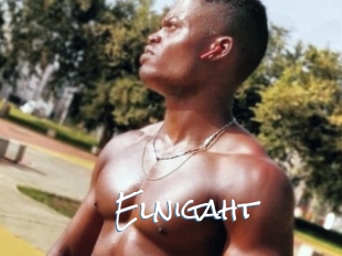 Elnigaht
