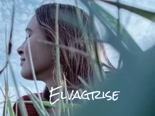 Elvagrise