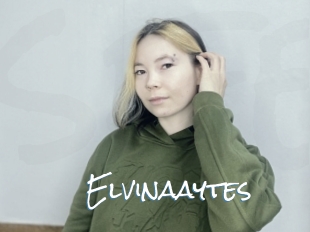 Elvinaaytes