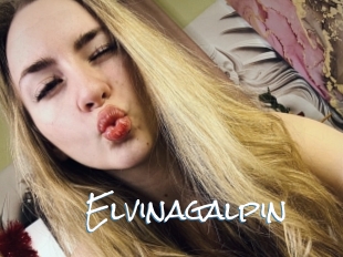 Elvinagalpin