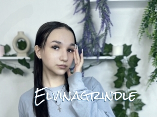 Elvinagrindle