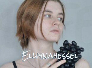 Elwynahessel