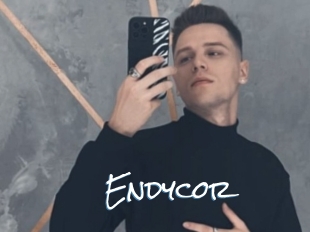 Endycor