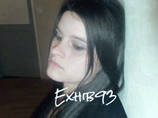 Exhib93