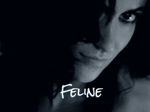 Feline