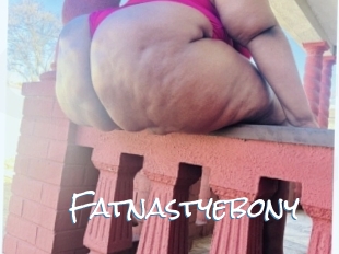 fatnastyebony Sex Feed