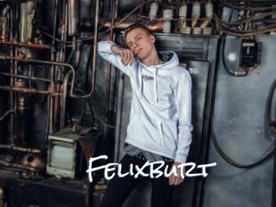 Felixburt