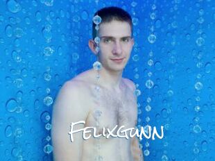 Felixgunn