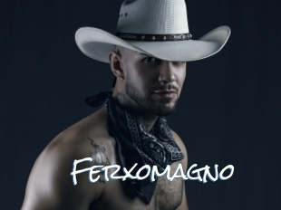 Ferxomagno