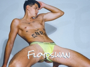 Floydswan