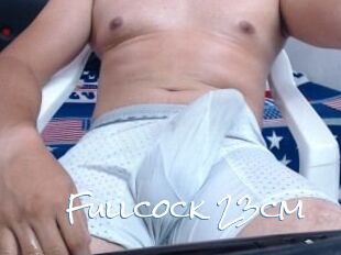 Fullcock_23cm