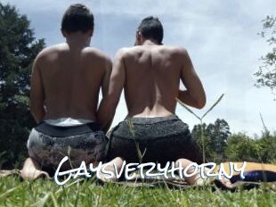 Gaysveryhorny