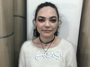 GinaSi