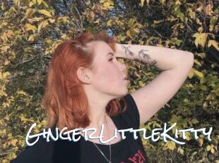 GingerLittleKitty