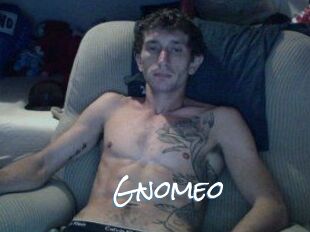 Gnomeo