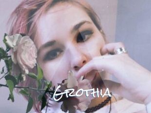 Grothia