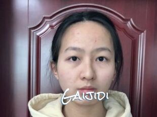 Gaijidi