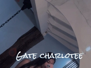Gate_charlotee