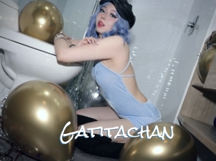 gatitachan Sex Feed