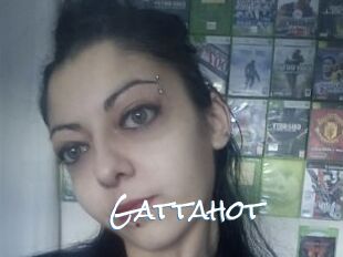 Gattahot