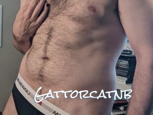 Gattorcatnb
