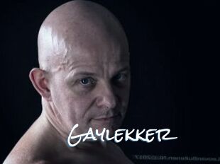 Gaylekker