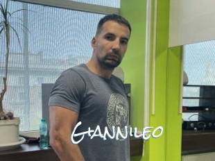 giannileo Sex Feed