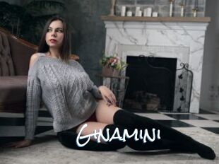 Ginamini