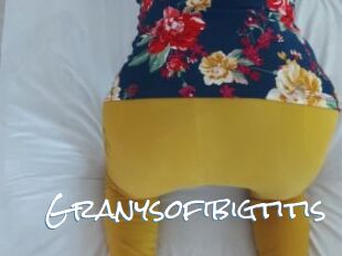 Granysofibigtitis