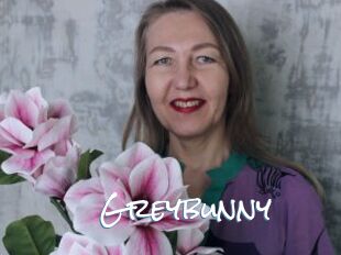 Greybunny