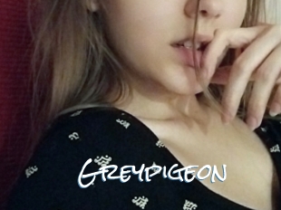 Greypigeon