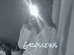 Grosseins