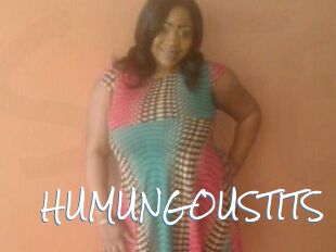 HUMUNGOUSTITS