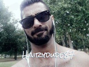 Hairydude87