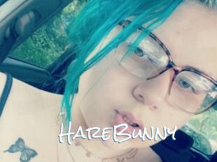 HareBunny