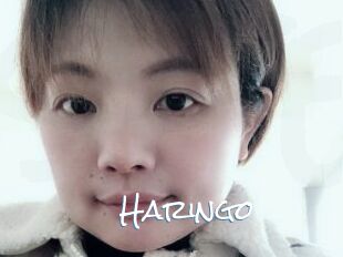 Haringo